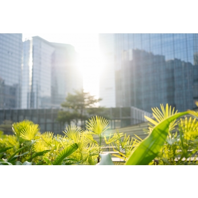 S 指標的財務價值：2026 永續揭露新熱點——員工薪資結構與 DEI 數據如何影響企業信評？